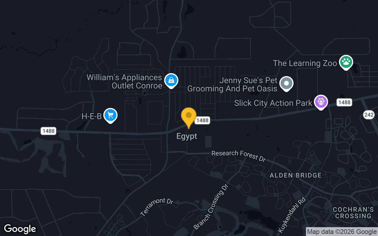 Map of bar trivia spots in Magnolia, TX